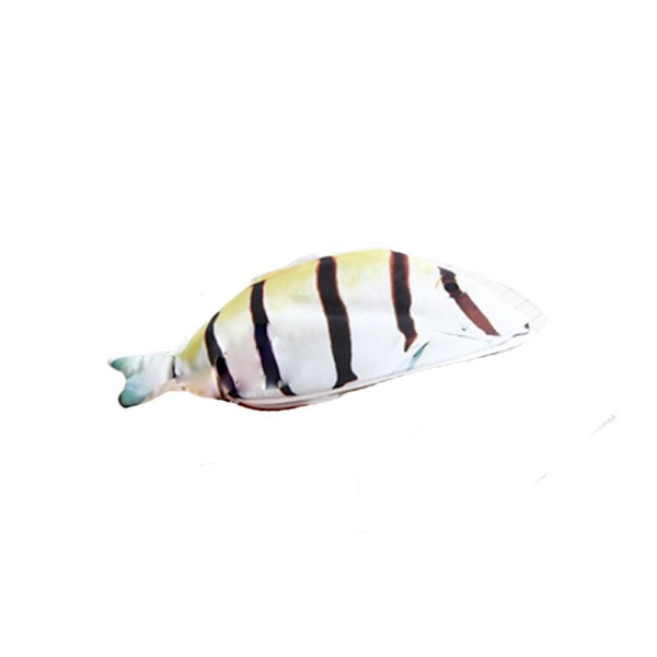 Fish Shape Case Carp Pen Bag 1 1 1