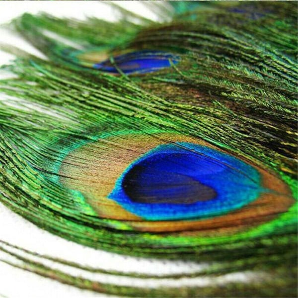 30 kpl Peacock Feather Natural Feather Tail