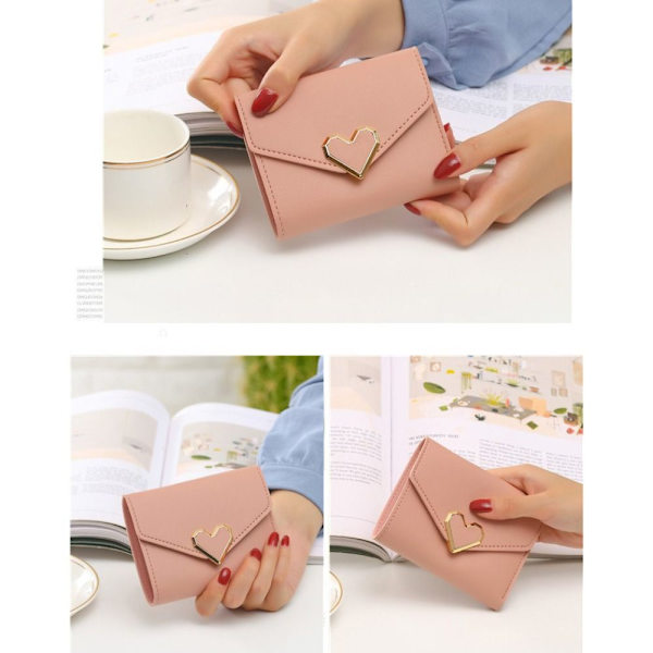 Läder Damplånböcker Moneybags ROSE RED rose red