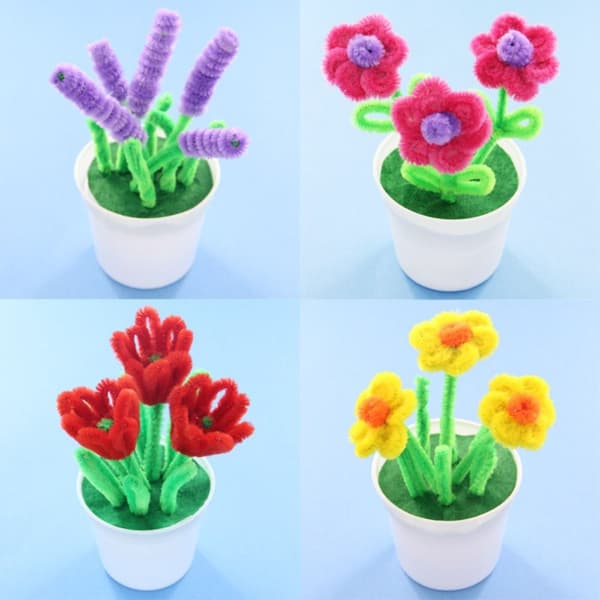 2 st Sköldpaddsblomma i krukväxt 9 9 9