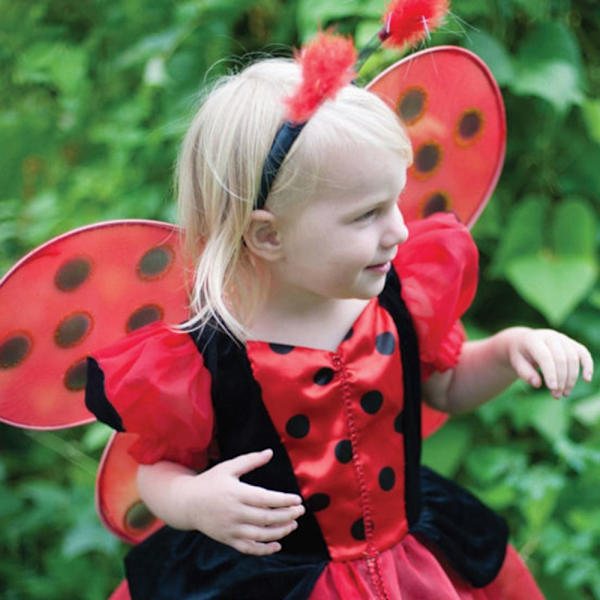 Ladybug Wings Kostyme Fairy Wings Performance rekvisitter