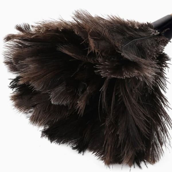 Strudsfjerbørste Strudsfjerpelsbørste Duster