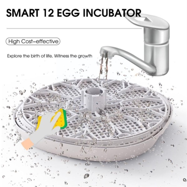 12 Egg Inkubator Hatch Machine Brooder