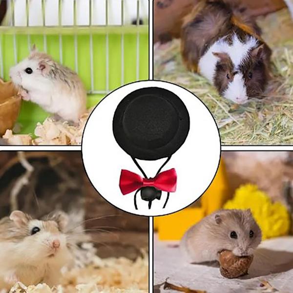 Pienet eläimet Hatut Lemmikkien cap MUSTA Black