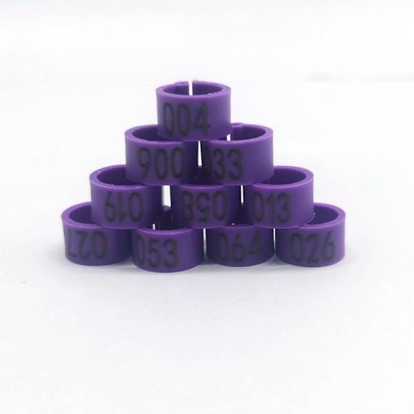Pigeon Rings Dove Bird Clip Rings LILA Purple