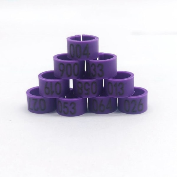 Pigeon Rings Dove Bird Clip Rings PURPLE Purple