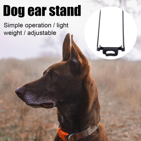 Dog Ear Stand Up Doberman Ear Stand Up A A A