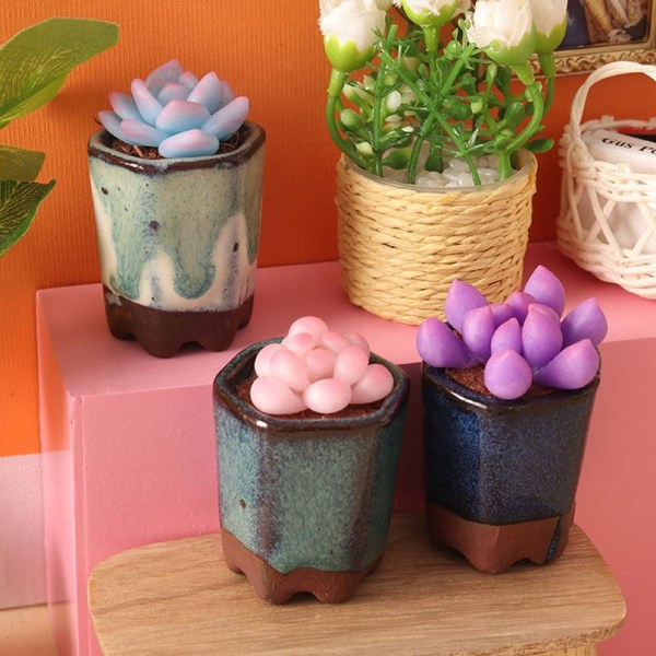 Dollhouse Succulent Bonsai Miniature Plant Potted 2 2 2