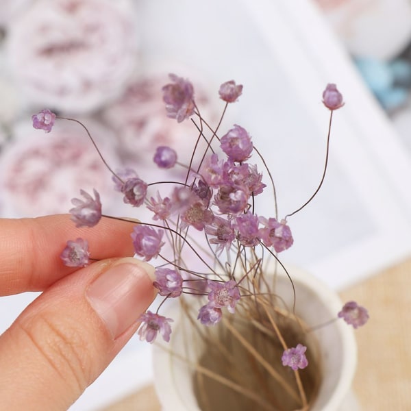 30st dekorativa torkade blommor Mini Daisy LILA purple