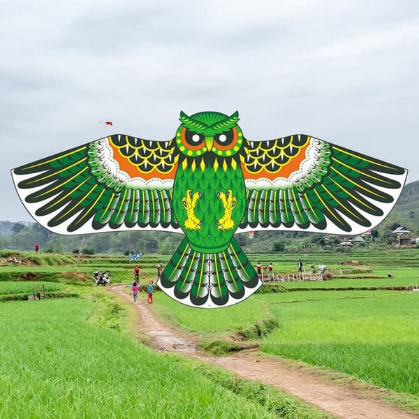 Owl Kite Flying Kite GREY grey