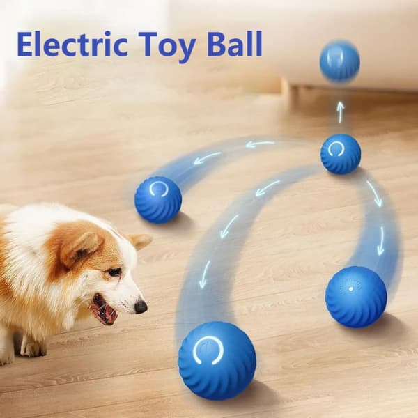 Hundleksaksboll Självgående bollar BLÅ blue