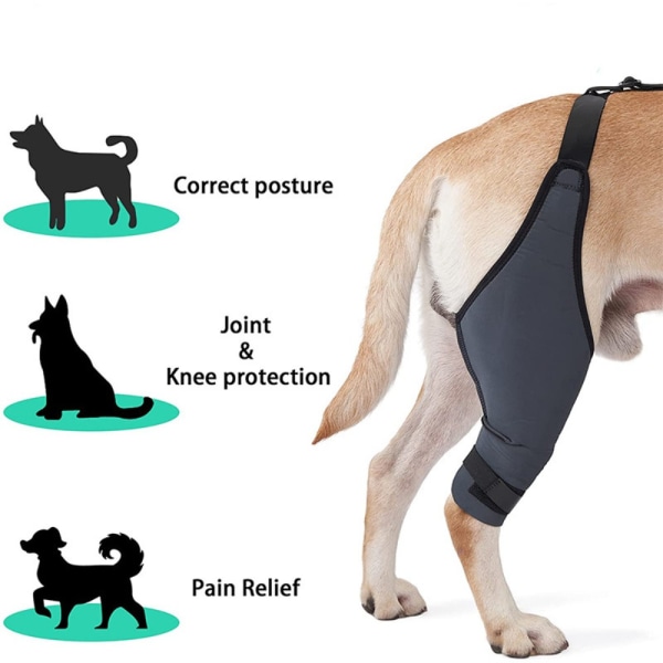 Pet Protective Gear Polvituki MRIGHT LEG RIGHT LEG M