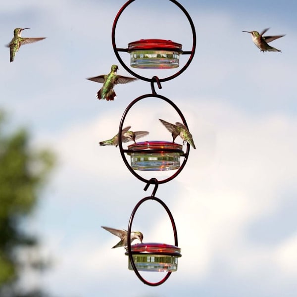 Hummingbird Feeder Fugle Vand Feeder SORT black