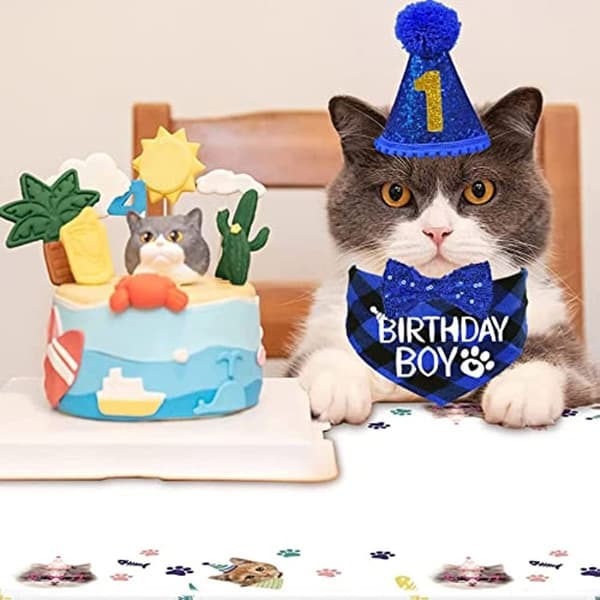 Hundebursdagsdekorasjon Pet Hat BLÅ blue