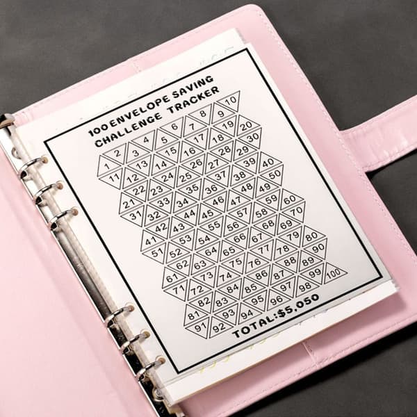 100 Days Envelope Challenge Binder Savings Challenge Book PINK pink