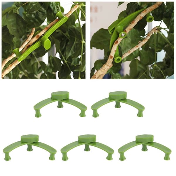5/10 st Grenhållare Clip Fixing Clips 5PCS 5PCS 5pcs