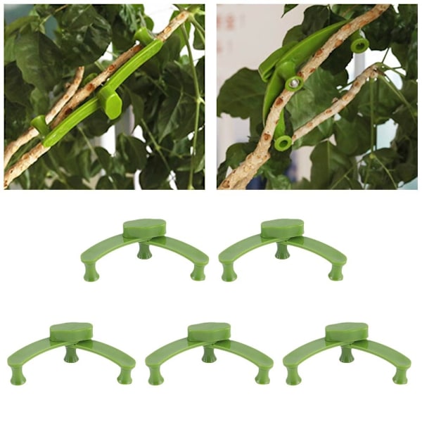 5/10 stk. Branch Holder Clip Fastgørelses Clips 5 STK 5 STK 5pcs