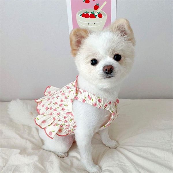Pet Dog Sommarkläder Strawberry Dress PINK M pink M