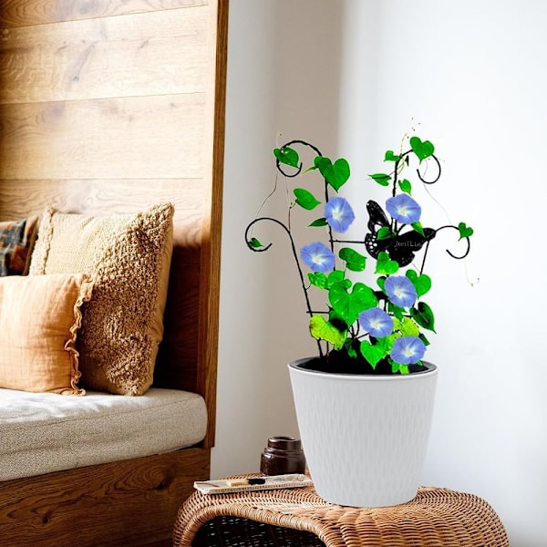 Hagespalier klatreplante Trellis E E E