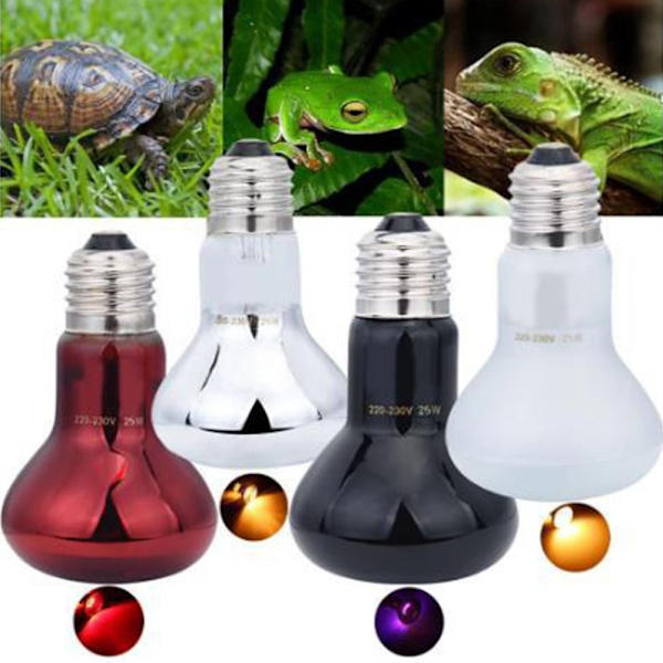 Krybdyr varmelampe Reptil vækstlampe 63X105 SORT 63X105 SORT 63X105 Black