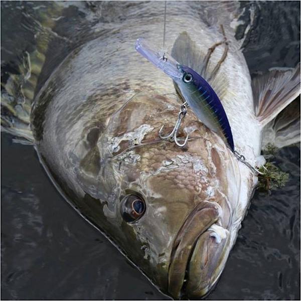 Minnow-kalastusuhe Kalastusuhe E E E