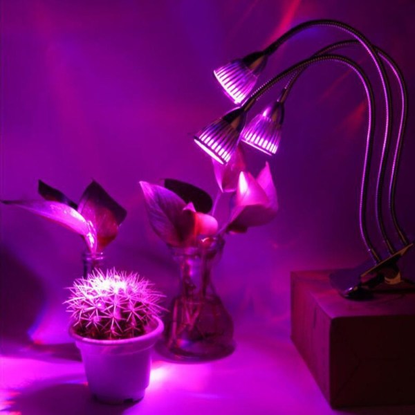 Plant Grow Light Light Pære Grow Lights