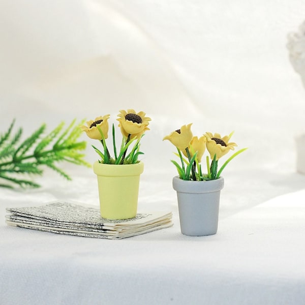 Miniatureplante potteplanter Model PINK Pink