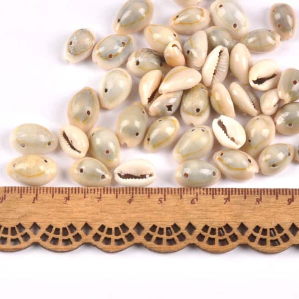 200 stk doble hullperler Cowrie Shell Beads Seashell Beads