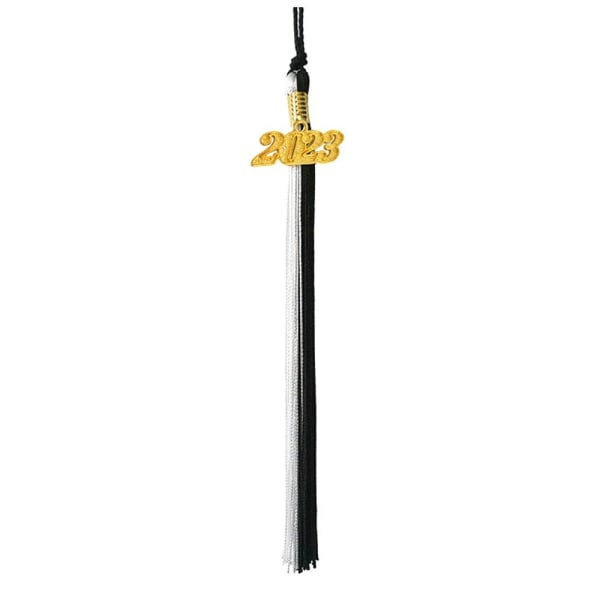 2023 Tassel Graduation Cap TYPE S TYPE S Type S
