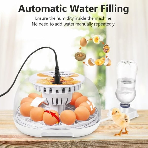 12 Egg Inkubator Hatch Machine Brooder
