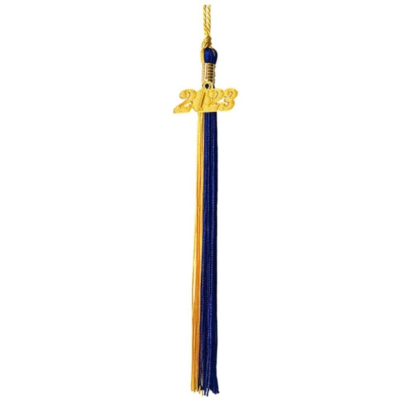 2023 Tassel Graduation Cap TYPE R TYPE R Type R