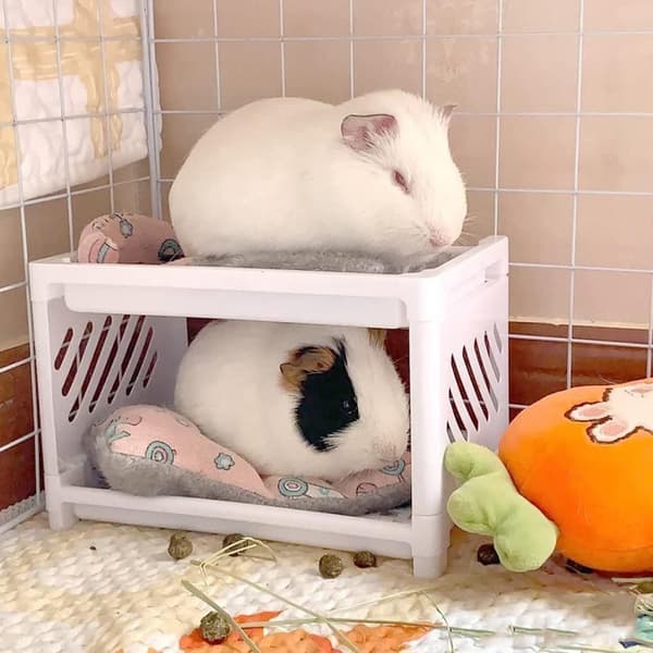 Våningssäng för husdjur Hamster-Leksak VIT White