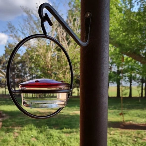 Hummingbird Feeder Fugle Vand Feeder RØD red