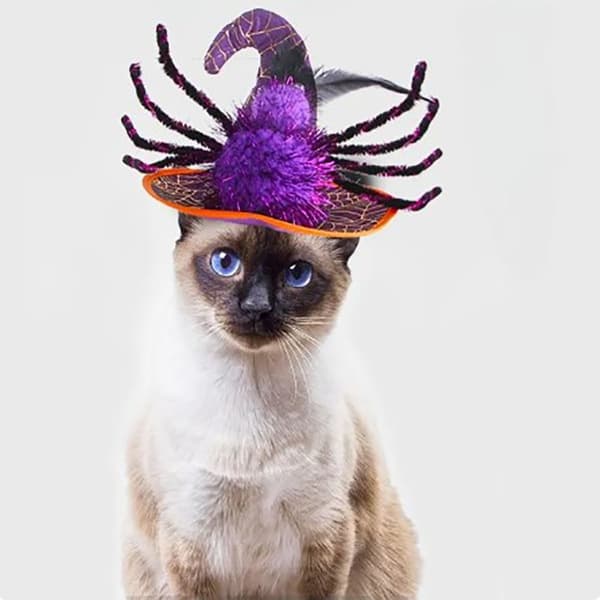 Pet Hodeplagg Halloween Hatt ORANSJE Orange