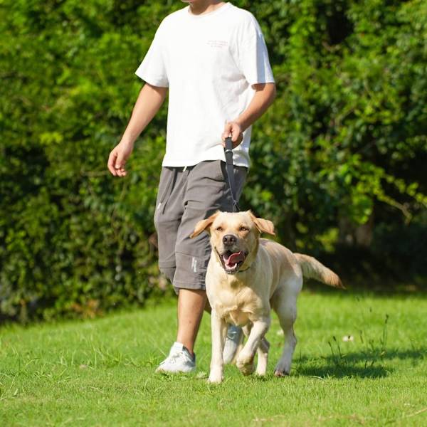 Kort Hundkoppel Trafikkoppel SVART black