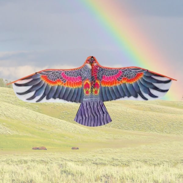 Flat Eagle Kite Bird Drakar TYP C TYP C Type C