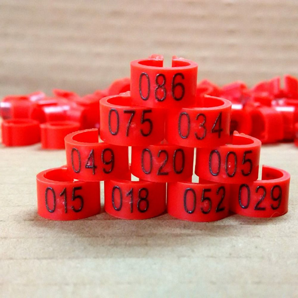 Pigeon Rings Dove Bird Clip Rings RÖDA Red