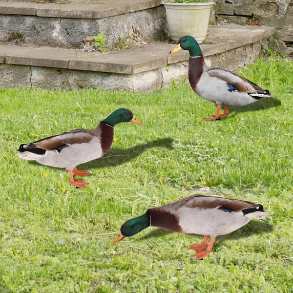 Akryl Duck Statyer Duck Sculpture A A A