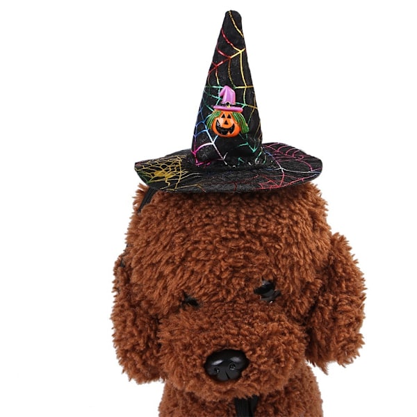 Kat Halloween Julehat Græskarhovedbetræk 01 01 01