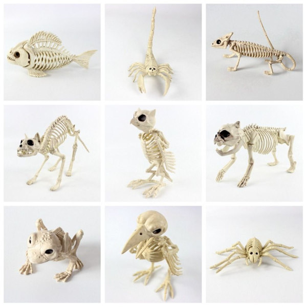 Halloween bevægeligt skelet Dyr falsk skelet GECKO GECKO gecko