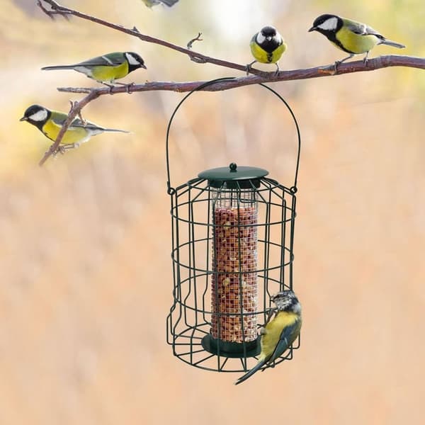 Fuglefoder Fuglebur FARVE 3 FARVE 3 Color 3