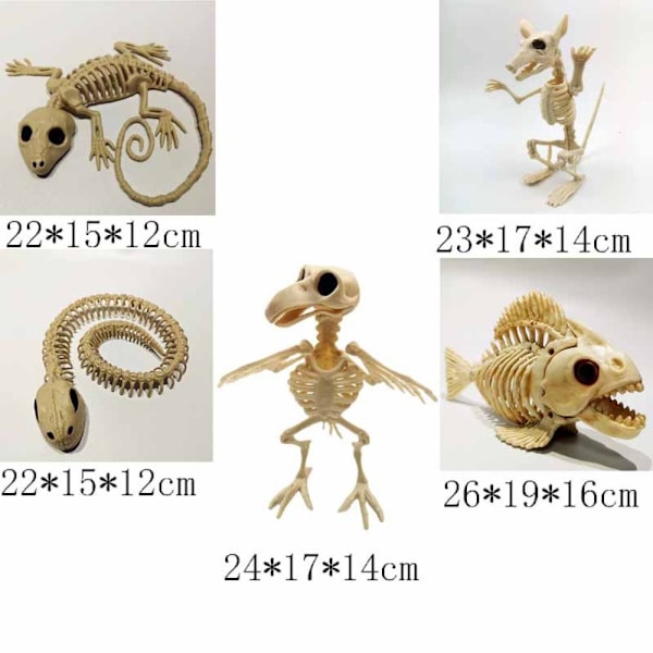 Halloween bevægeligt skelet Dyr falsk skelet SLANGE SLANGE snake