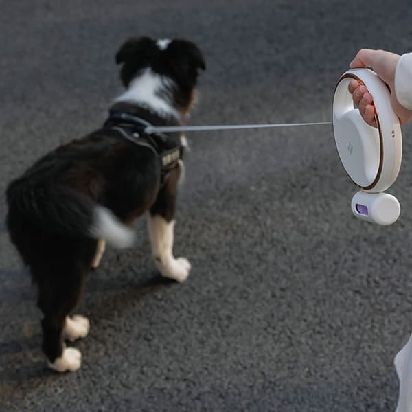 Blyband Infällbart hundkoppel VIT WHITE