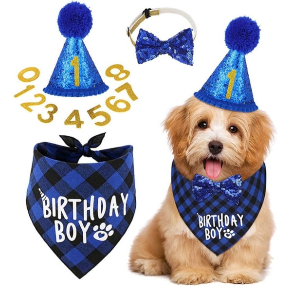 Hunde fødselsdagsdekoration Pet Hat BLÅ blue