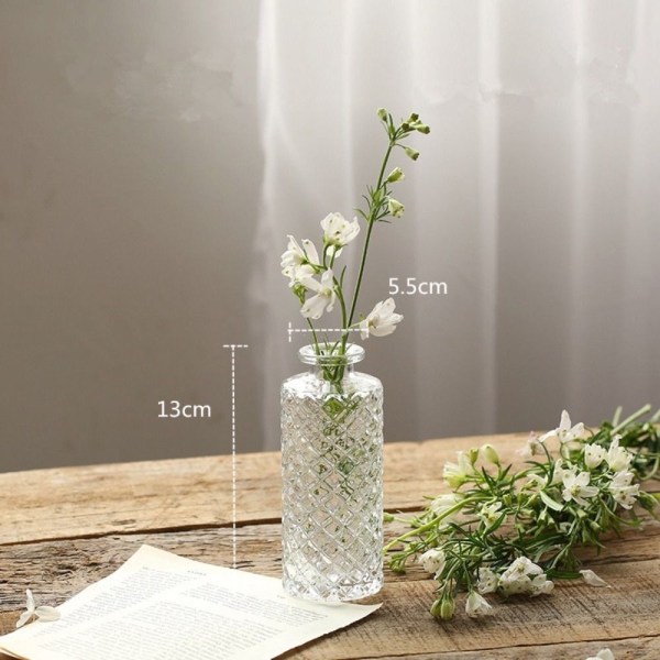 Glassvase Hydroponic Terrarium 8 8 8