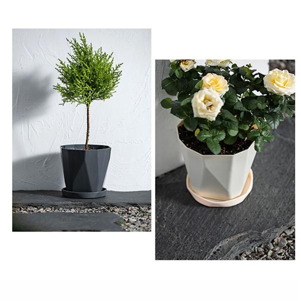 3 st blomkrukor Suckulentlåda S S