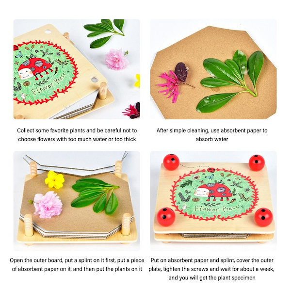 Pressad blomsats Blompresskit Tiny Flower Conservation Kit