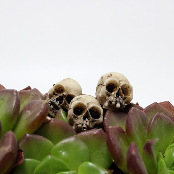20 Stk Skull Heads Mini Skull Statue Skeleton Ornament 20 Pcs