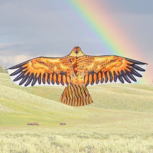 Flat Eagle Kite Bird Leijat TYYPPI D TYYPPI D Type D