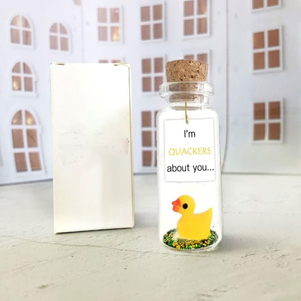 Duck Wishing Bottle Mini Wishing Lasipullo Koristeellinen